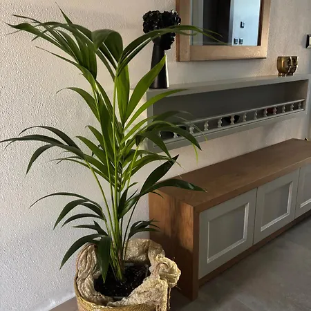 The Mits Luxury Скиатос